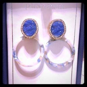 BRAND NEW IN BOX EARRINGS